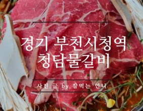 [부천시청역 고기] 청담물갈비 산더미의 양과 기본맛의 맵기는?