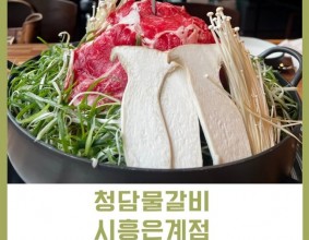 시흥은행동맛집 : 산더미물갈비맛집 [청담물갈비시흥은계점] 산더미불고기밀푀유전골