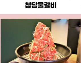 < 충주 신연수동 맛집 > 산더미 불고기의 특별한 맛, 청담 물갈비